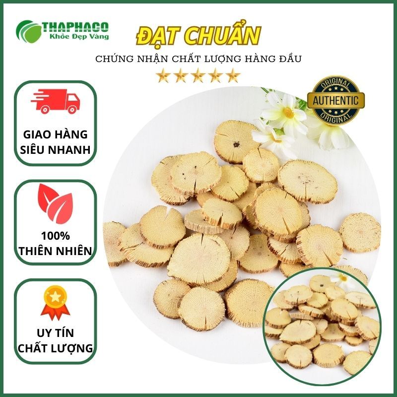 [Dược Liệu] Mộc Thông Thảo - Hàng Sấy Khô - Thaphaco