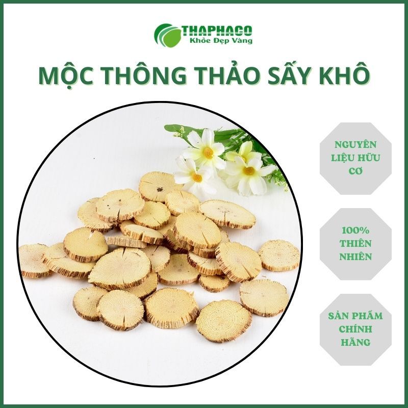 [Dược Liệu] Mộc Thông Thảo - Hàng Sấy Khô - Thaphaco