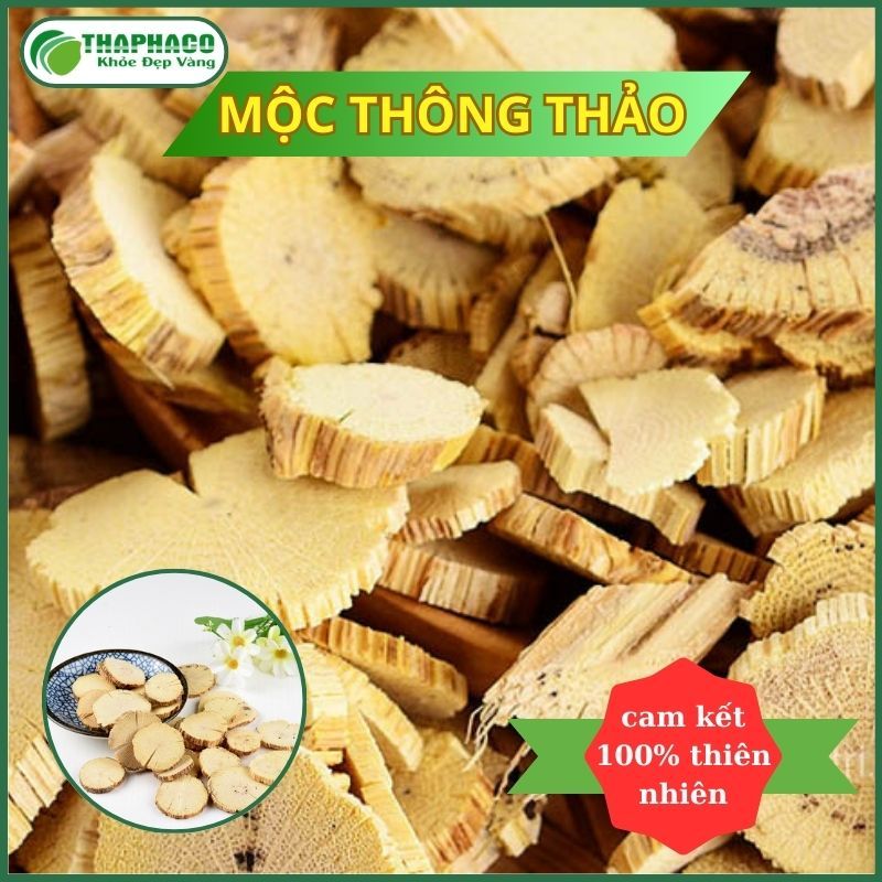 [Dược Liệu] Mộc Thông Thảo - Hàng Sấy Khô - Thaphaco