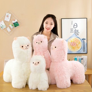 Gấu bông thú nhồi bông lạc đà Apaca 40cm mềm mịn siêu đáng yêu gấu bông M&M