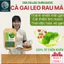 Trà Cà Gai Leo Rau Má- DIỆP CHI - Trà Thanh nhiệt Giúp Mát Gan - Giải Độc, bảo vệ gan - 40 Túi Lọc