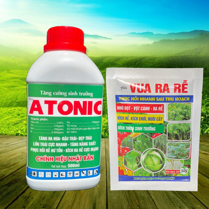 ATONIC 500ml TẶNG VUA RA RỄ 50gr KÍCH RỄ MẠNH, SIÊU PHỤC HỒI CÂY SUY ...