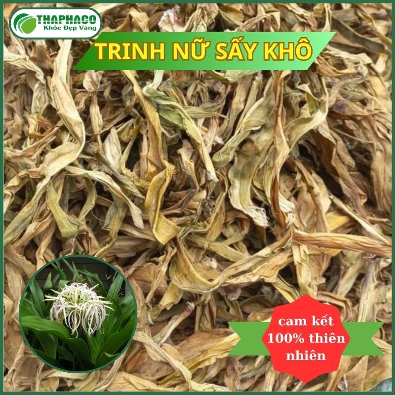 [Dược Liệu] Trinh Nữ Hoàng Cung - Hàng Công Ty - Thaphaco