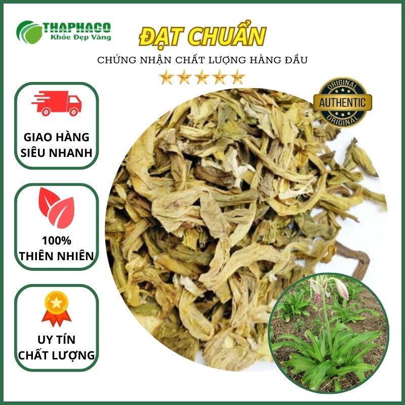 [Dược Liệu] Trinh Nữ Hoàng Cung - Hàng Công Ty - Thaphaco