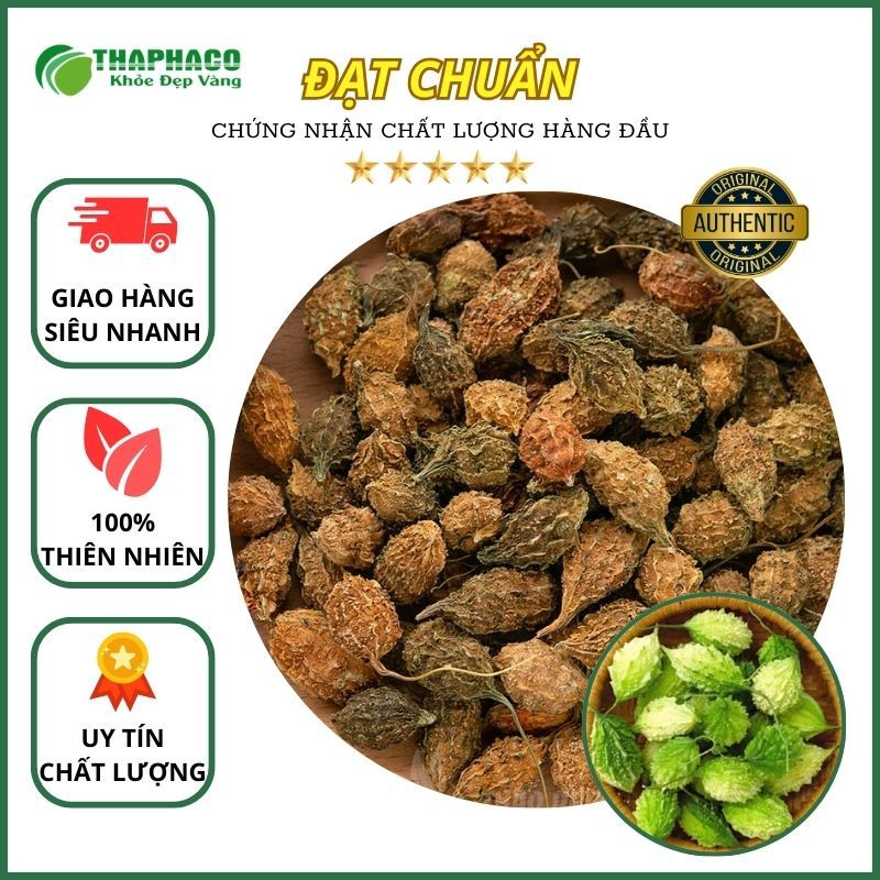 [Thiên Nhiên] Mướp Đắng / Khổ Qua Rừng - Hàng Công Ty - Chất Lượng Cao Thaphaco