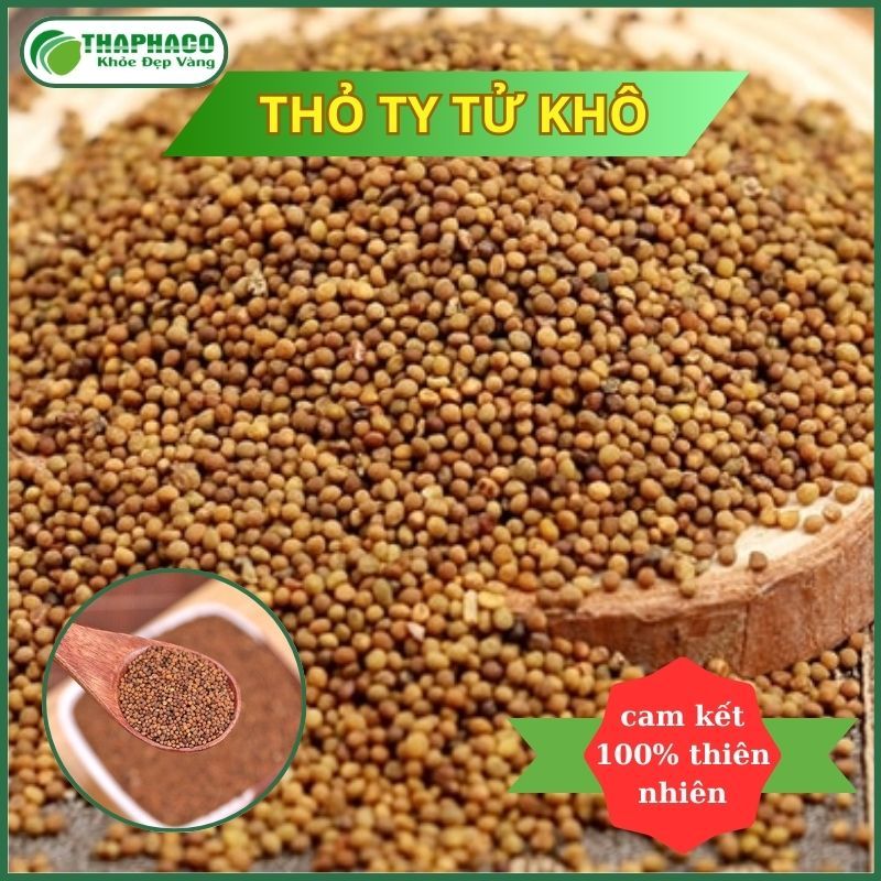 [Dược Liệu] Thỏ Ty Tử Sấy Khô - Hàng Công Ty - Chất Lượng Cao - Thaphaco