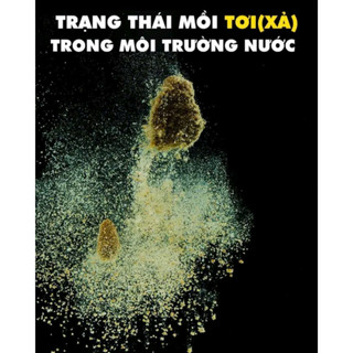 Mồi câu Khó Chịu Đỏ câu Chép dịch vụ , tự nhiên