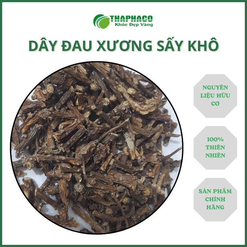 [Thảo Dược] Dây Đau Xương - Hỗ Trợ Tăng Cường Sức Khỏe - Thaphaco