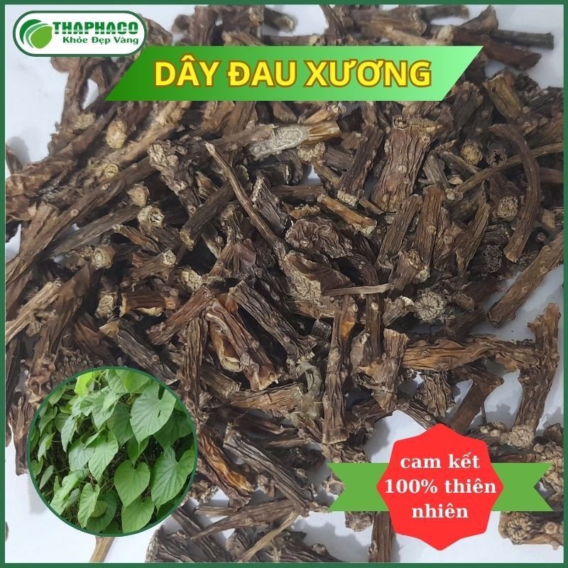 [Thảo Dược] Dây Đau Xương - Hỗ Trợ Tăng Cường Sức Khỏe - Thaphaco