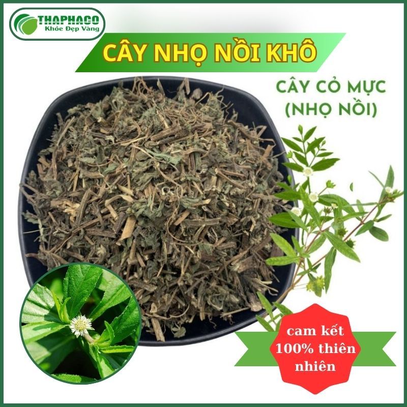 [Dược Liệu] Cây Nhọ Nhồi/Cỏ Mực Khô Sấy Nhiệt - Hàng Công Ty - Thaphaco