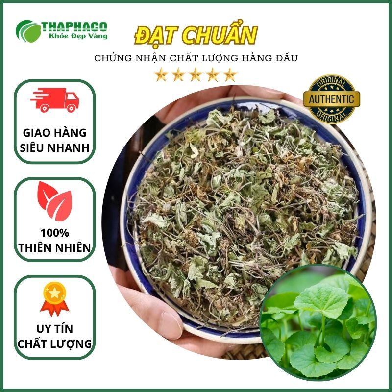 [Thảo Dược] Rau Má Khô Nguyên Chất - Hàng Loại 1 -  100gram - THAPHACO