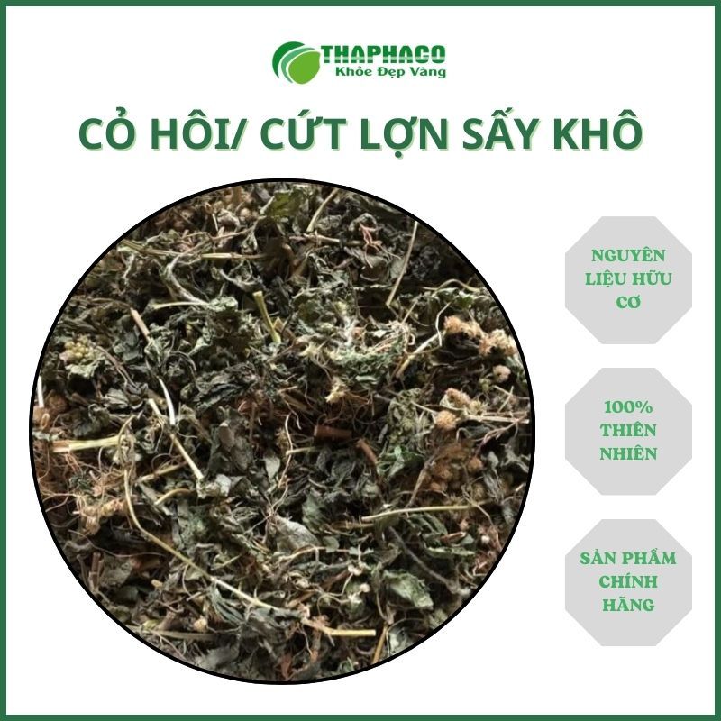 Trà cỏ hôi nguyên chất túi lớn loại 1kg - Hàng sạch chuyên dùng để sắc nước và pha trà