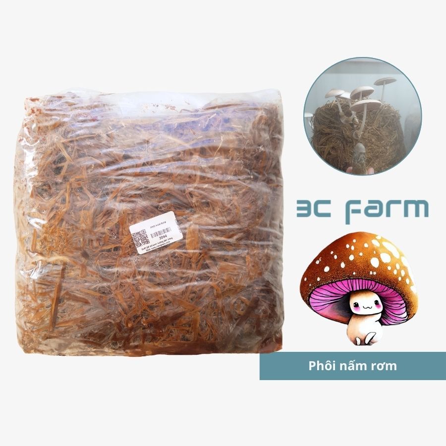 Phôi nấm rơm, giống nấm rạ 1,2kg - 2,5kg tơ mọc đều - 3C Farm | Shopee ...