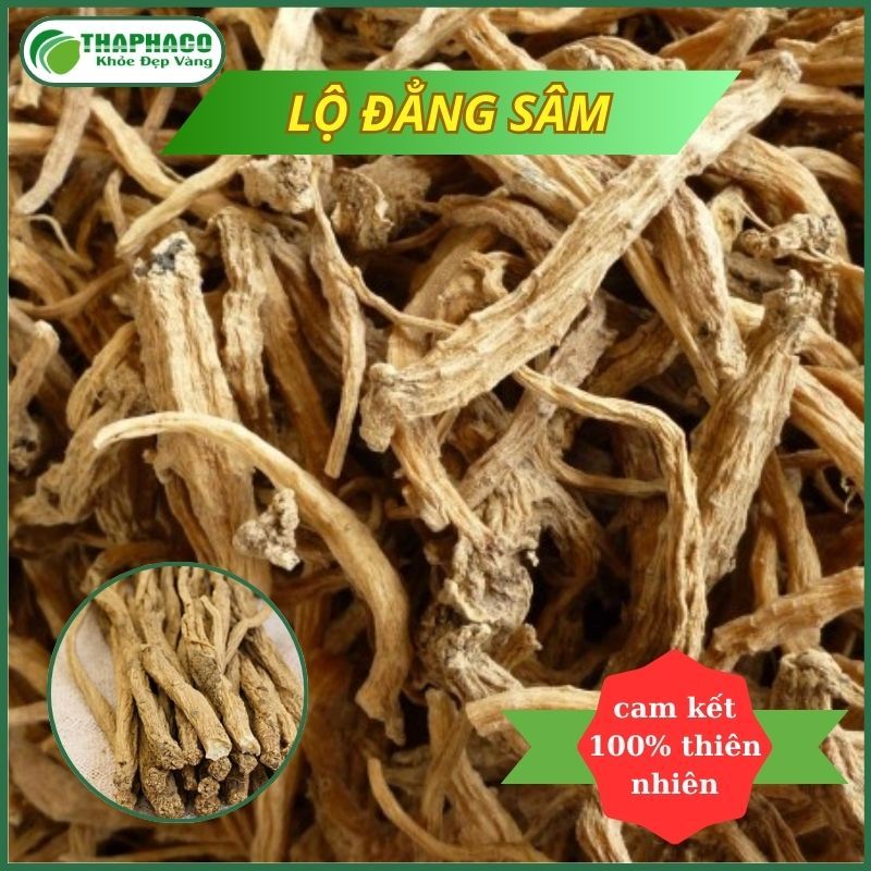 [Thảo Dược] Đắng Sâm/ Lộ Đẳng Sâm - Tốt Cho Sức Khỏe - Thaphaco