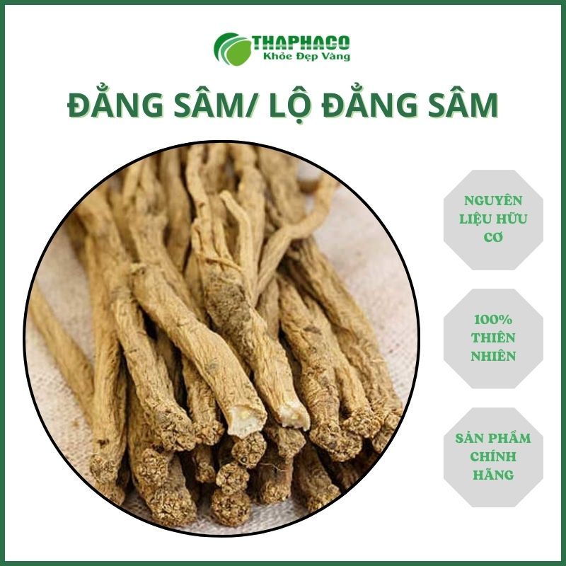 Lộ đẳng sâm sấy khô - hàng sạch thơm giá tốt - Thảo dược THAPHACO - Túi 100gram