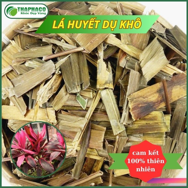 [Thảo Dược] Lá Huyết Dụ Sấy Khô Nguyên Chất - Sản Phẩm Thiên Nhiên - Hàng Loại 1 - Túi 1kg - Thaphaco