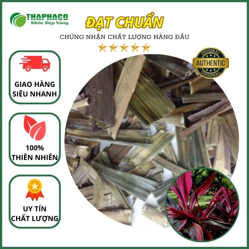 [Thảo Dược] Lá Huyết Dụ Sấy Khô Nguyên Chất - Sản Phẩm Thiên Nhiên - Hàng Loại 1 - Túi 1kg - Thaphaco