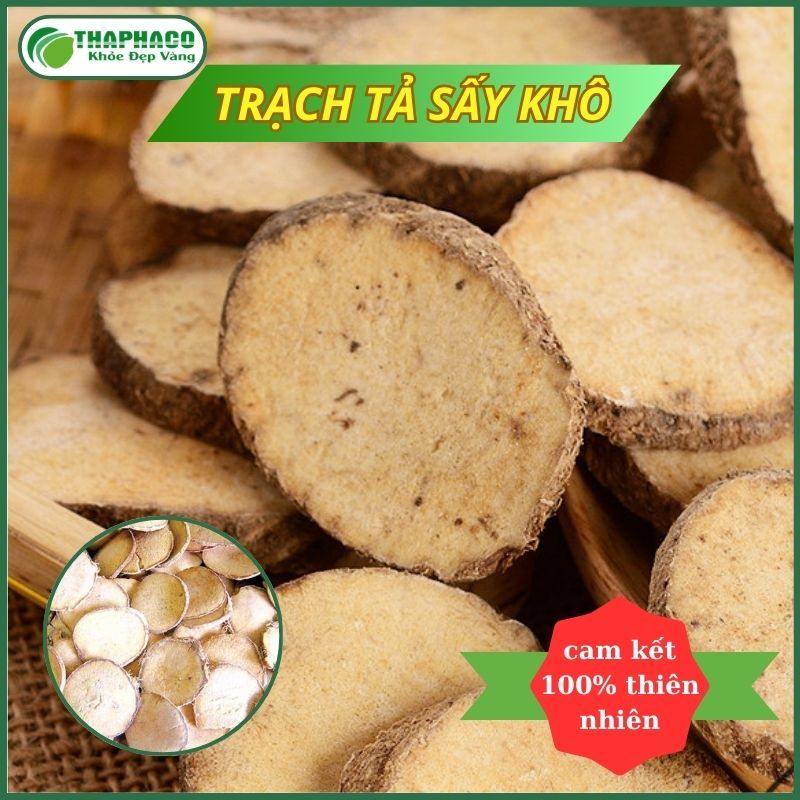 [Thảo Dược] Trạch Tả/ Mã Đề Nước - Hàng Công Ty - Chất Lượng Cao Thaphaco