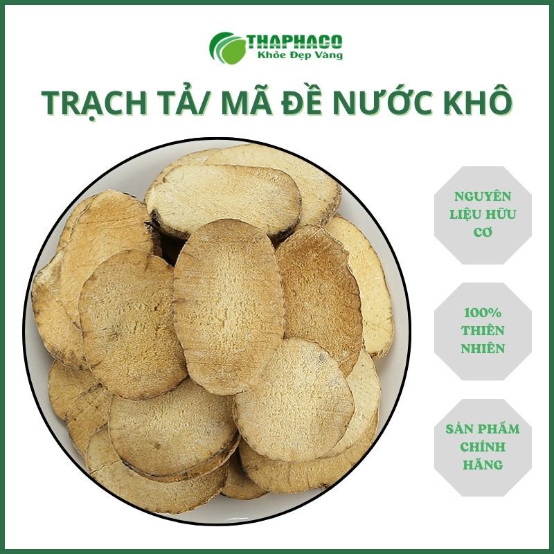 [Thảo Dược] Trạch Tả/ Mã Đề Nước - Hàng Công Ty - Chất Lượng Cao Thaphaco