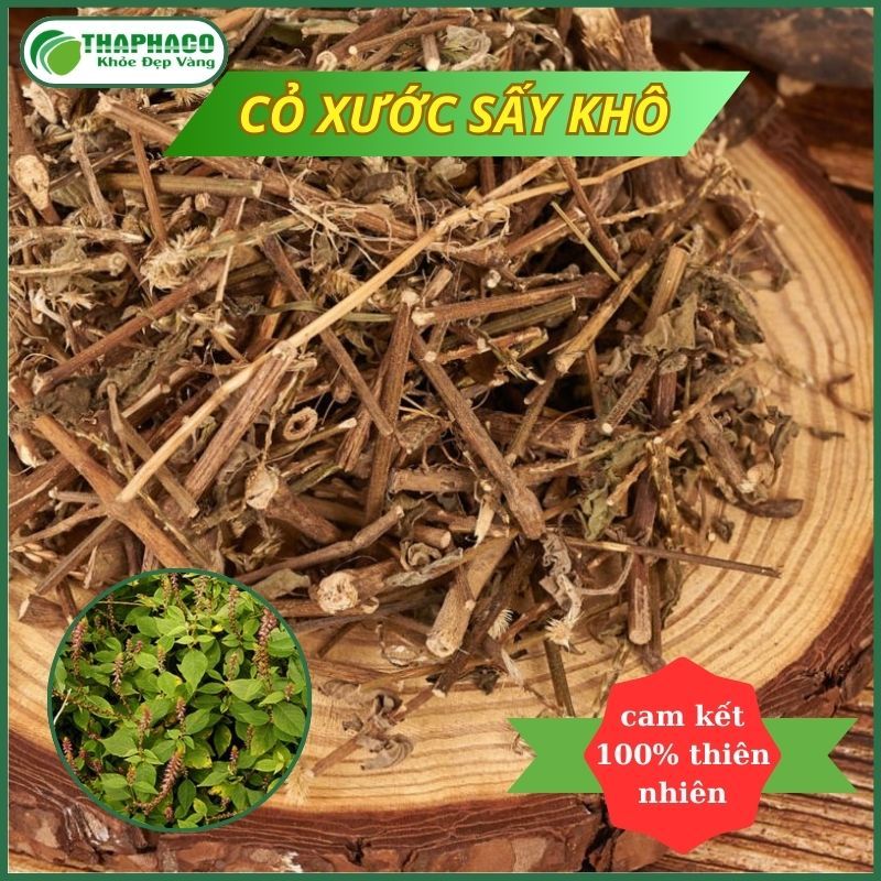 [Thảo Dược] Cỏ Xước Khô Nguyên Chất - Hàng Loại 1 - Túi 1kg - Hàng Công Ty - Thaphaco