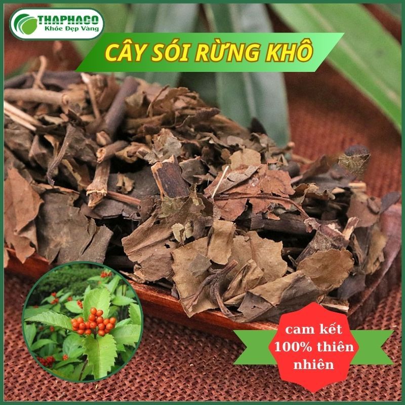 [Dược Liệu] Cây Sói Rừng Khô Nguyên Chất - Hàng Loại 1 - Túi 1kg - Thaphaco