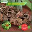 Cây Sói Rừng Khô Nguyên Chất - Hàng Loại 1 - Túi 1kg - Thaphaco