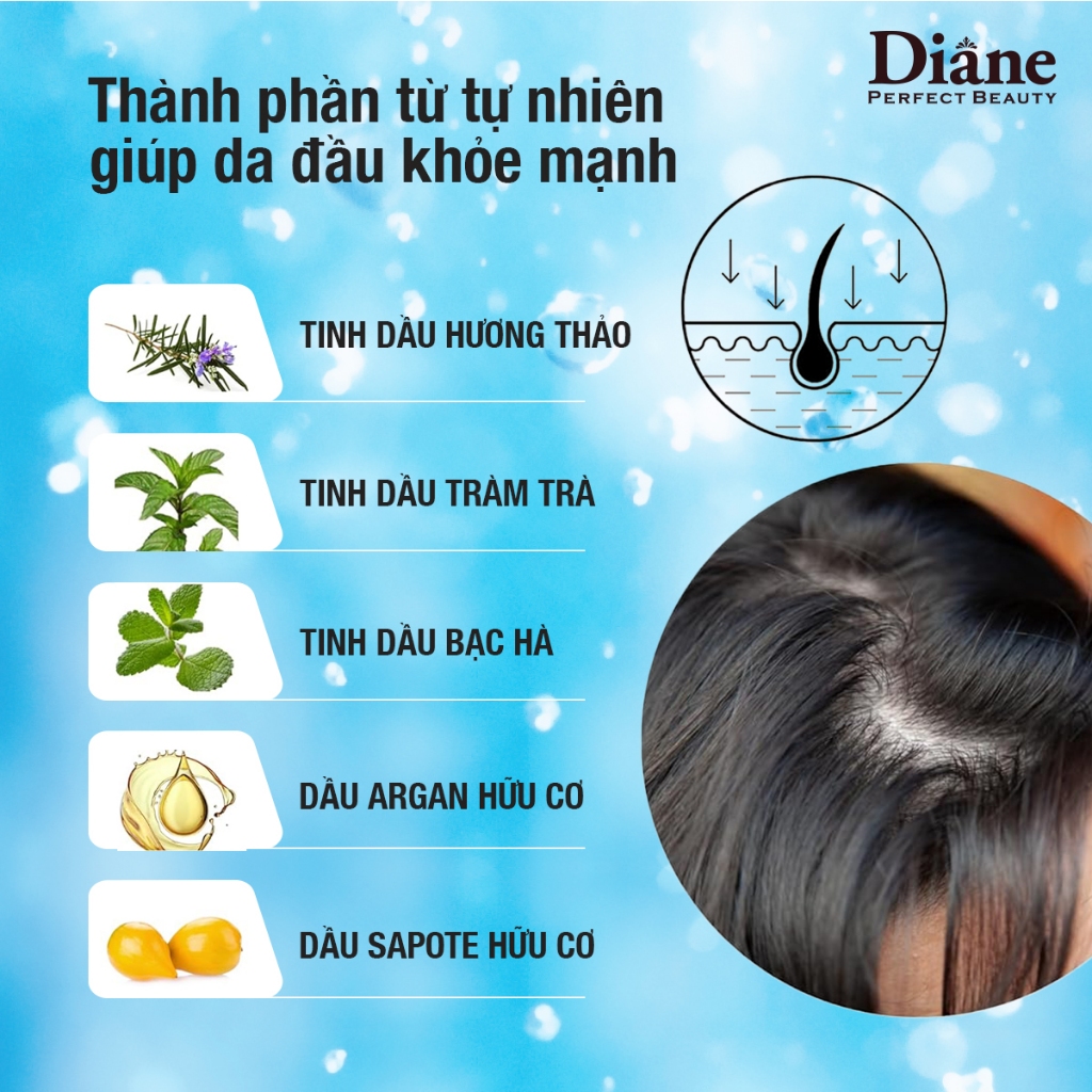 Ảnh Combo dầu gội xả sạch dầu dưỡng ẩm da đầu phục hồi khô xơ Moist Diane Extra Fresh & Hydrate 450ml*2 3