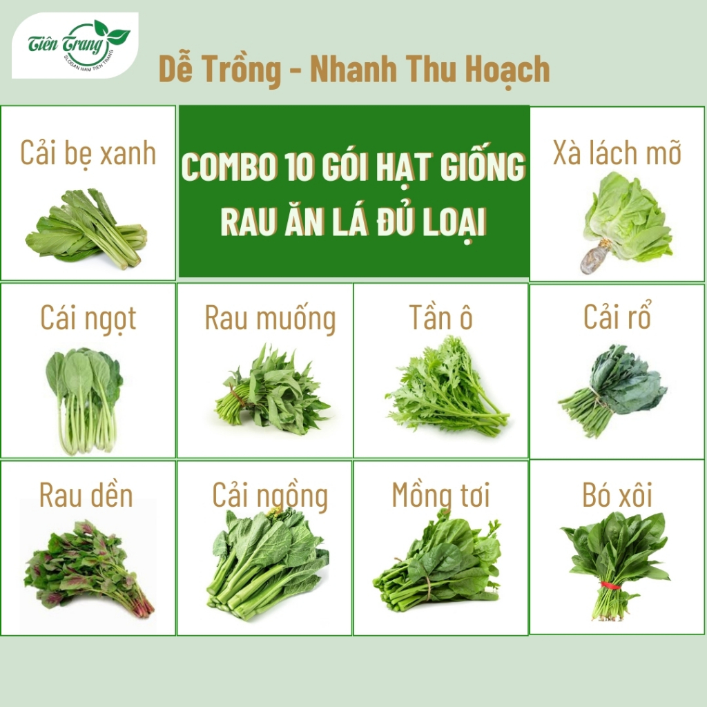 Combo 10 Gói Hạt Giống Rau Ăn Lá Quanh Năm VIỆT THÁI Nhiều Loại, Dễ ...
