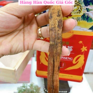 Hồng Sâm Củ Khô Daedong Hàn Quốc 150g Dòng Premium 6-10 Củ