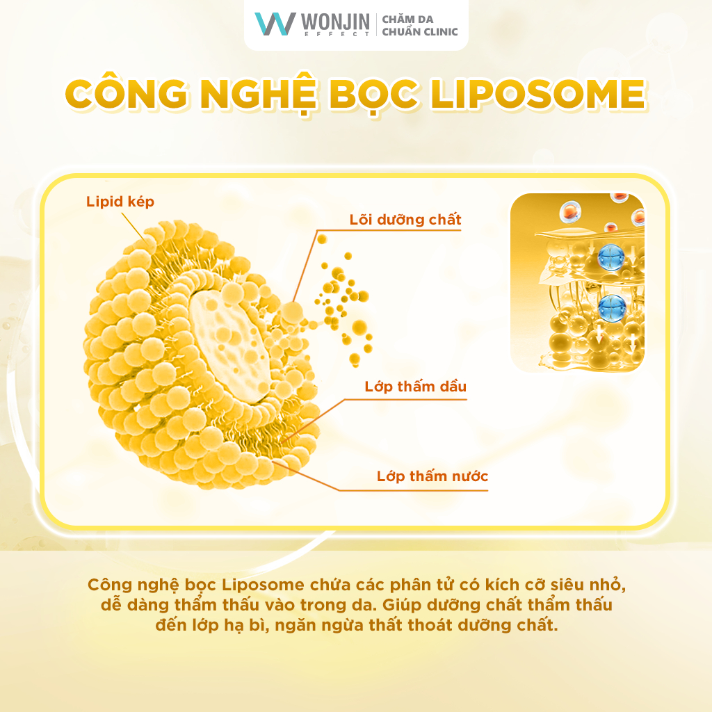 Ảnh Hộp 30 Mặt Nạ Giúp Dưỡng Trắng WonJin Effect Water Toning 350g (hộp 30 Mask) [B1] 3