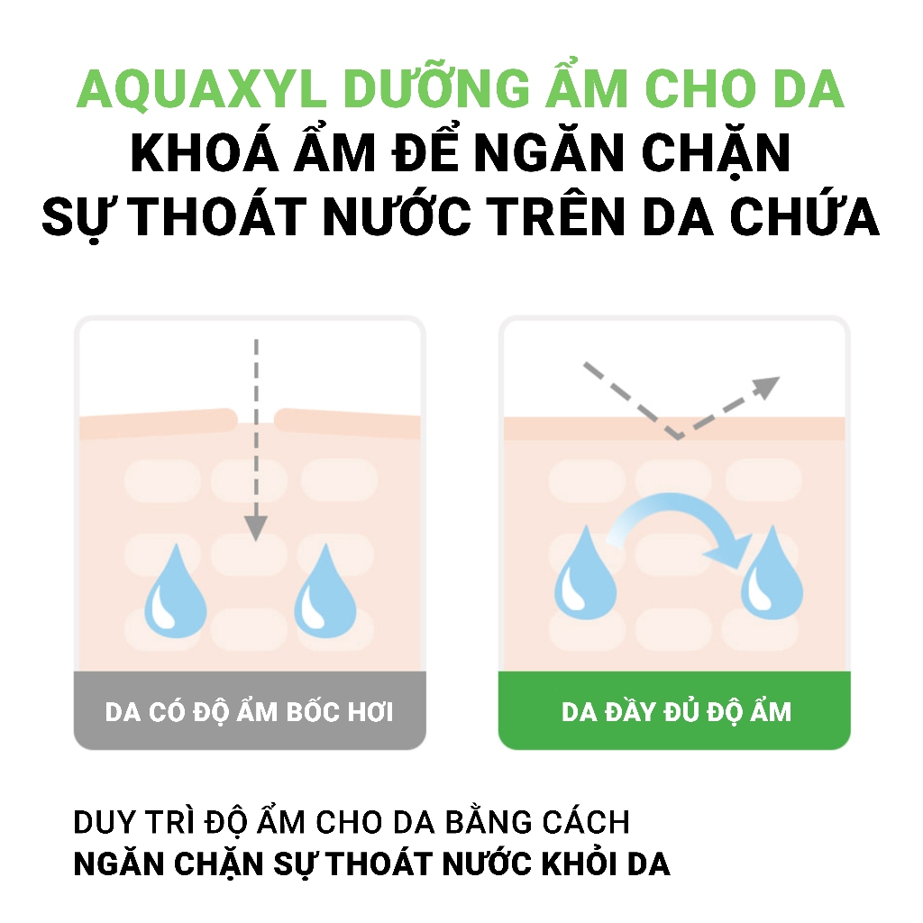Ảnh Combo 10 Mặt Nạ Siêu Tinh Chất Phục Hồi  DR WonJin 8 CICA Relaxing Fill 27g (KHÔNG HỘP) [B2] 2