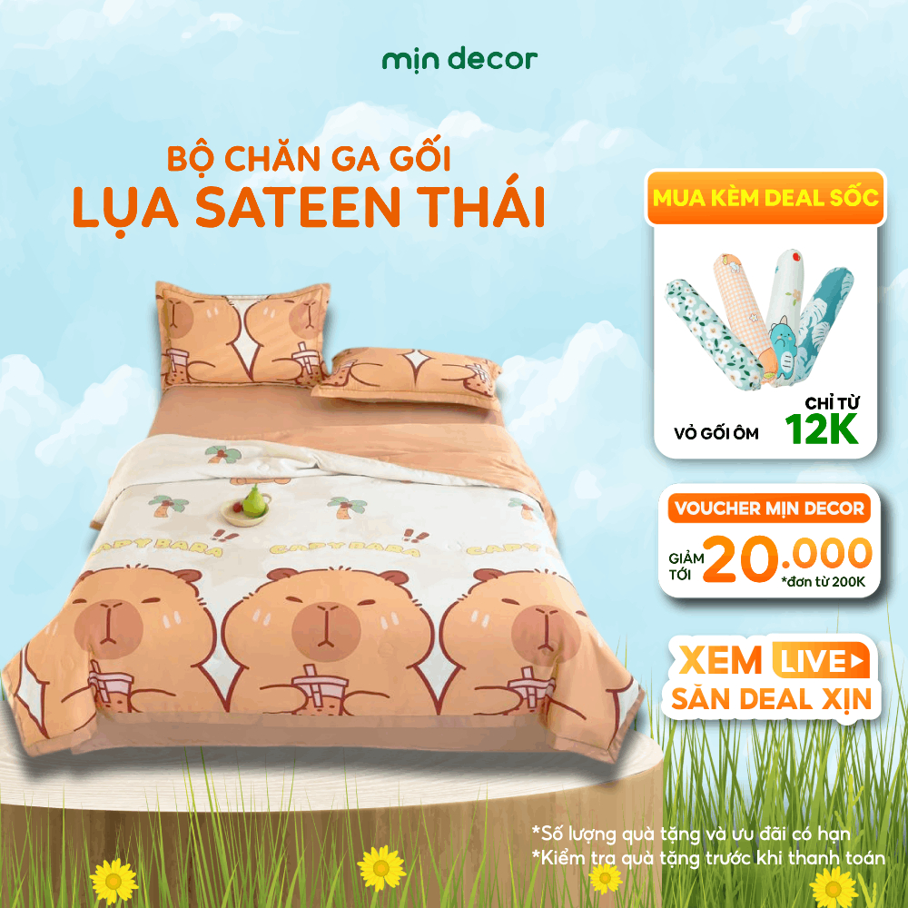 Ảnh Bộ Chăn Ga Gối Cotton Sateen Mịn Decor Bo Chun 10cm, Drap Giường Lụa Thái Kèm Chăn Chần Mát Mịn 1