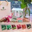 Trà Túi Lọc Mix Vị ANBA (Nhài, Dâu, Đào, Gừng) | Giảm Stress, Tăng Tập Trung, Thơm Dễ Uống | Hộp 24 Túi