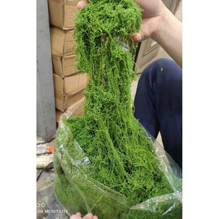 100g rêu sợi cao cấp decor - Rêu giả trang trí