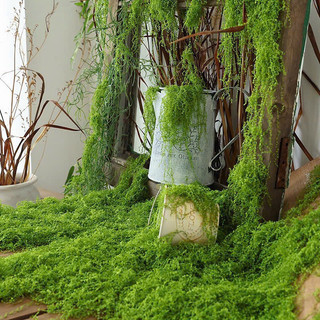 100g rêu sợi cao cấp decor - Rêu giả trang trí