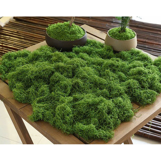 100g rêu sợi cao cấp decor - Rêu giả trang trí