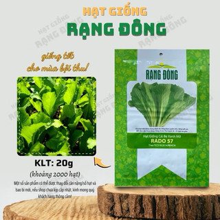Hạt giống Cải Bẹ Xanh Mỡ RADO 57 - Gói 20g