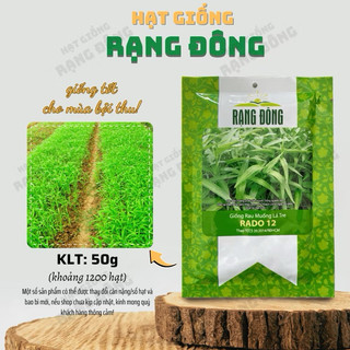 Hạt giống Rau Muống Lá Tre RD12 - Gói 50g