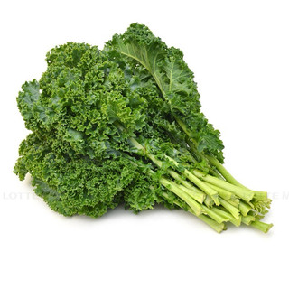 Hạt giống Cải Xoăn Kale RD686 - Gói 5g