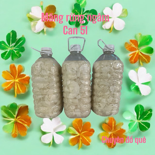 Măng rừng ngâm chua giòn ngon can 5 lít để quanh năm nhận sỉ cho nhà hàng