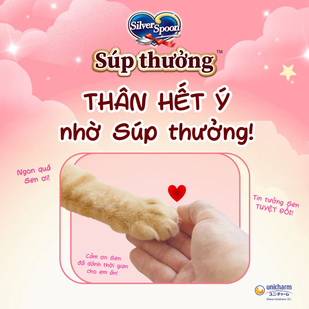 [V] Bộ 6 Súp Thưởng Silver Spoon Dạng Thanh Cho Mèo Vị Cá Ngừ/Vị Cá Ngừ Vằn/Vị Thịt Gà (48g/gói)
