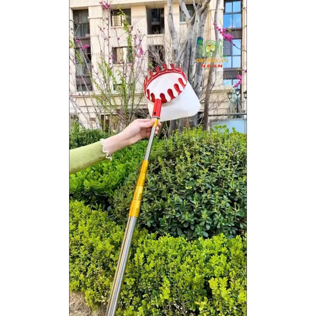 sào Hái Trái Cây Trên Cao Rút Gọn dài 3m hcm | Shopee Việt Nam