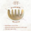 Lược sưng massage đầu 5 răng mini, kích thích mọc tóc, giảm đau đầu sau 5 phút - Mỹ Nghệ Dưỡng Sinh HT