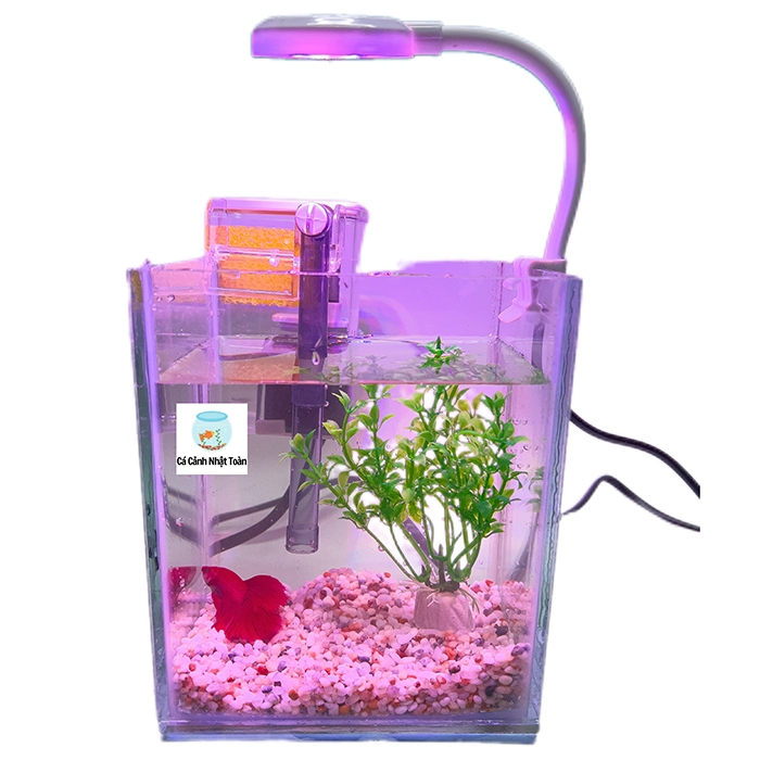 Combo Bể Kính Nuôi Cá Mini 13x10x16cm Kèm Sỏi, Rong Trang Trí + Lọc + Đèn