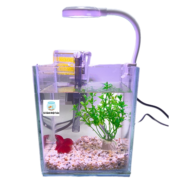 Combo Bể Kính Nuôi Cá Mini 13x10x16cm Kèm Sỏi, Rong Trang Trí + Lọc + Đèn