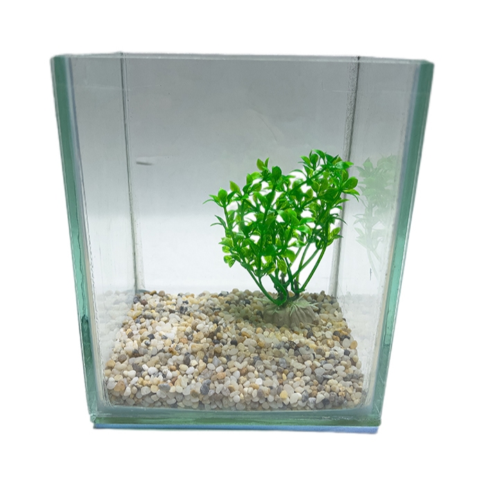 Combo Bể Kính Nuôi Cá Mini 13x10x16cm Kèm Sỏi, Rong Trang Trí + Lọc + Đèn