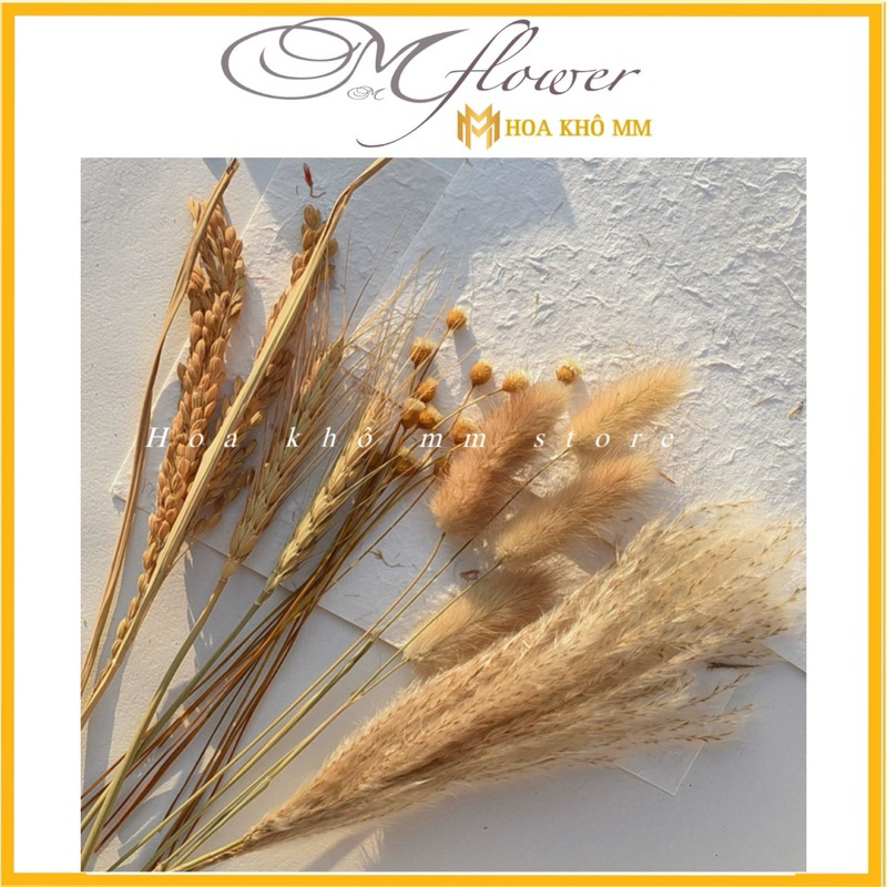 Set Hoa Vintage Mix Sẵn , Hoa Lúa Mạch , Cỏ Lau , Đuôi Thỏ ,Lúa Gạo ...