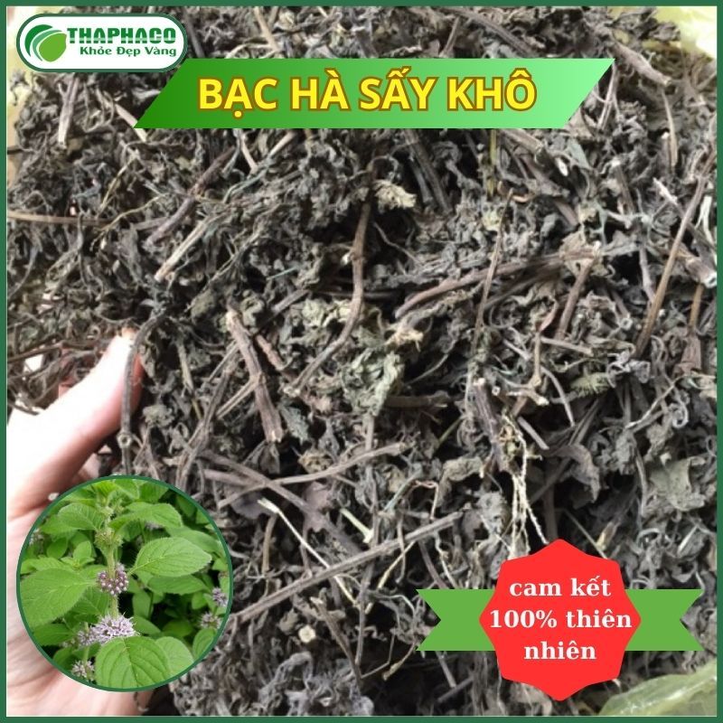 [1kg] Bạc hà thân lá hàng sạch thơm cao cấp - Chuyên dùng để pha trà