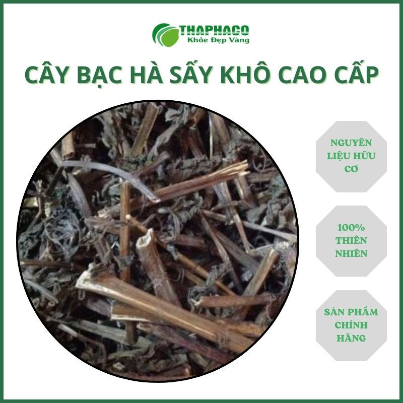 [1kg] Bạc hà thân lá hàng sạch thơm cao cấp - Chuyên dùng để pha trà
