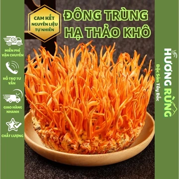 ĐÔNG TRÙNG HẠ THẢO, Trà Đông Trùng Bồi Bổ Sức Khỏe, Nấu Lẩu, Canh, Hầm Gà Thơm Ngon